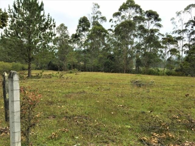 #VLT83 - Lote para Venta en Rionegro - ANT