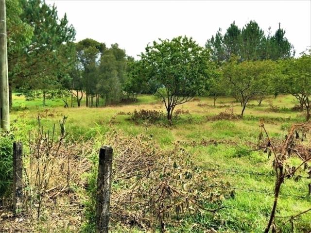 #VLT83 - Lote para Venta en Rionegro - ANT - 1