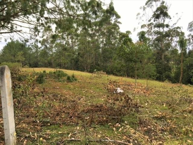 Lote para Venta en Rionegro - 5