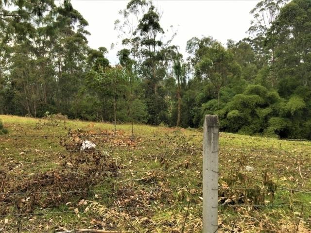 Lote para Venta en Rionegro - 4