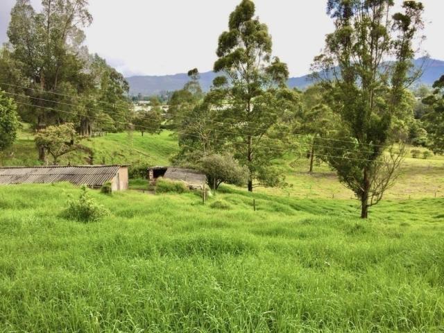 #VLT151 - Lote para Venta en La Ceja - ANT - 3