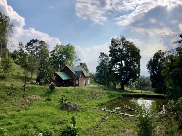#VF177 - Finca para Venta en La Ceja - ANT