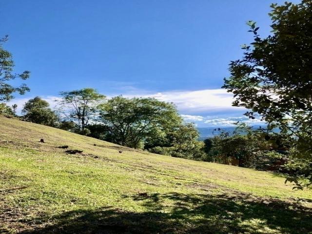 Finca para Venta en La Ceja - 5