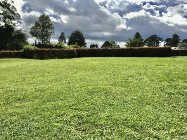 Lote para Venta en Rionegro - 5