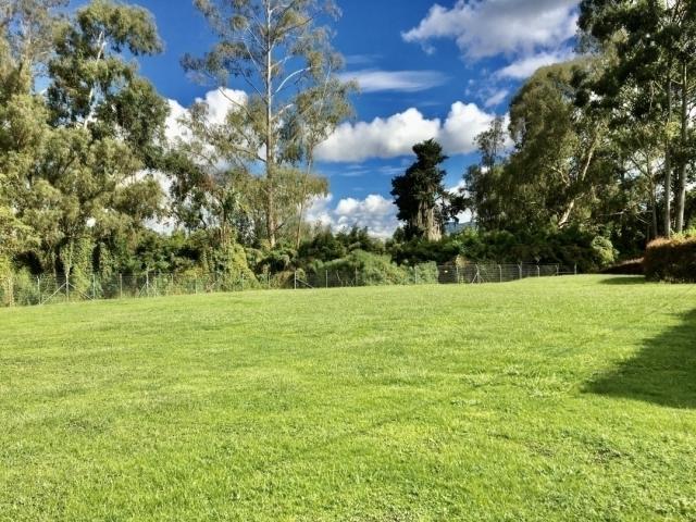 #VLT190 - Lote para Venta en Rionegro - ANT