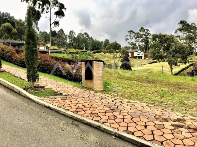 Lote para Venta en Envigado - 4