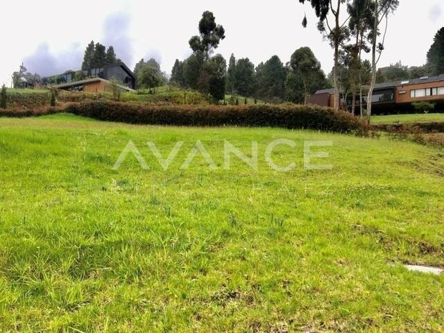 Lote para Venta en Envigado - 5