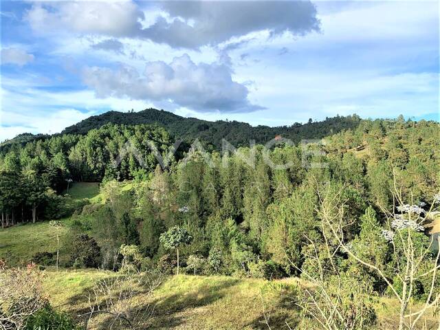 #VLT276 - Lote para Venta en Retiro - ANT