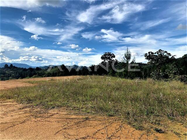 Lote para Venta en Retiro - 4