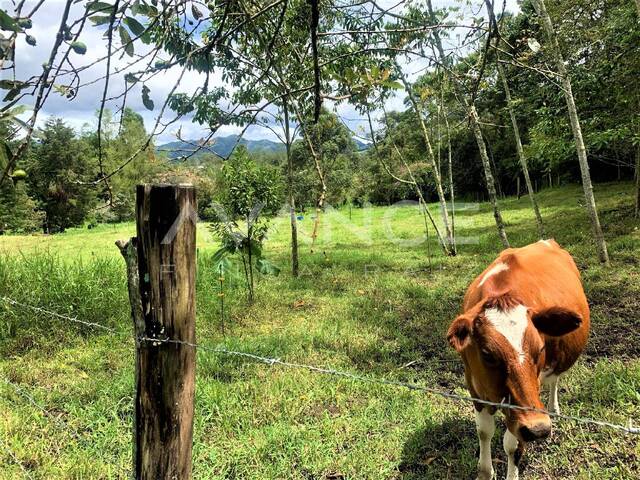 Venta en Vía San Antonio La Ceja - La Ceja