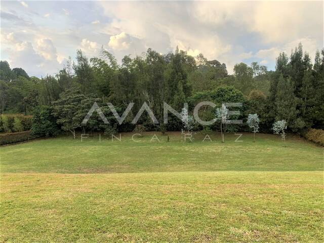 #VLT318 - Lote para Venta en Carmen de Viboral - ANT - 1