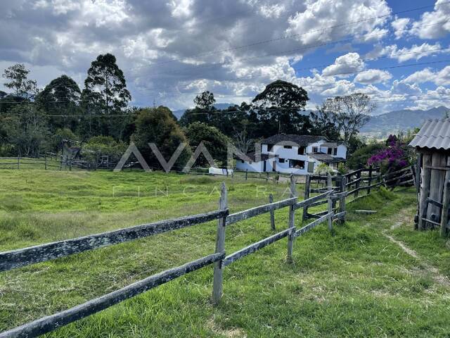 Lote para Venta en La Ceja - 4