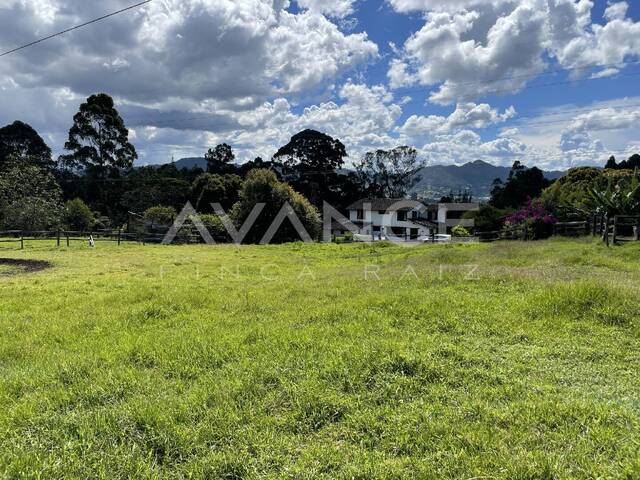 Lote para Venta en La Ceja - 5
