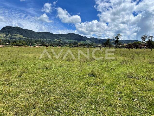 #VLT333 - Lote para Venta en La Ceja - ANT - 2