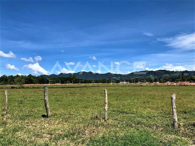 #VLT333 - Lote para Venta en La Ceja - ANT - 3
