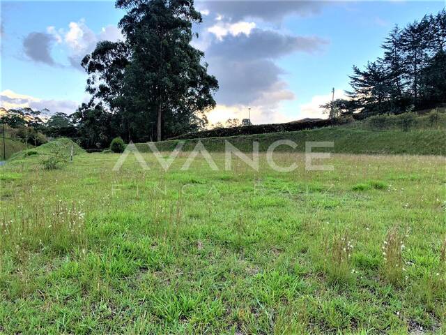 #VLT381 - Lote para Venta en Rionegro - ANT - 1