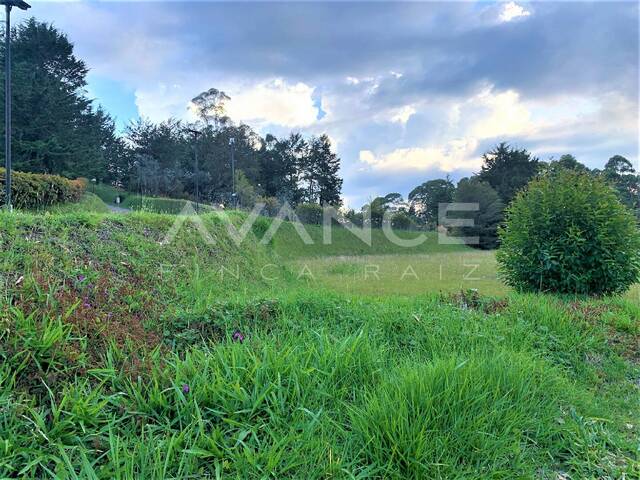 #VLT381 - Lote para Venta en Rionegro - ANT - 2