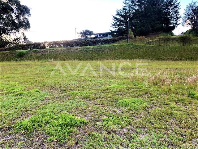 #VLT381 - Lote para Venta en Rionegro - ANT - 3