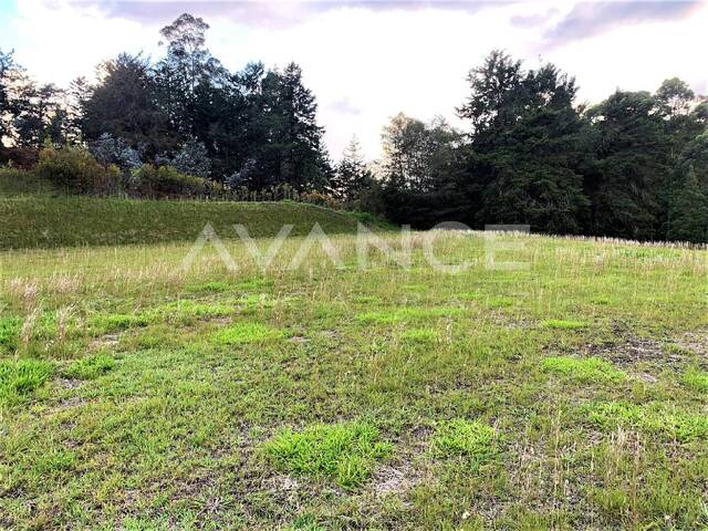 Lote para Venta en Rionegro - 4