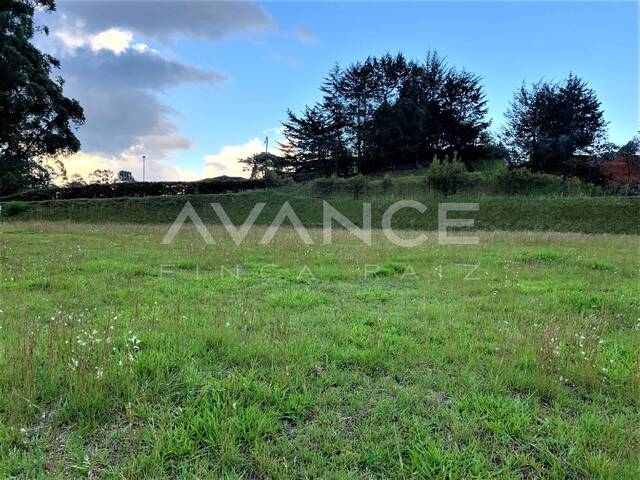Lote para Venta en Rionegro - 5