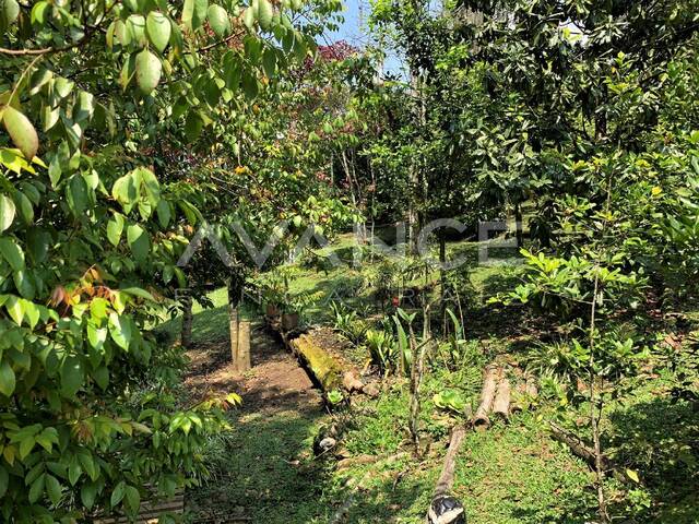 Lote para Venta en Envigado - 4