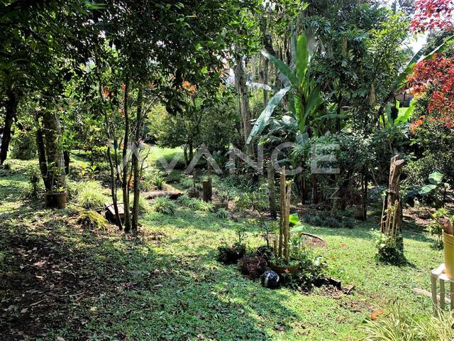 Lote para Venta en Envigado - 5