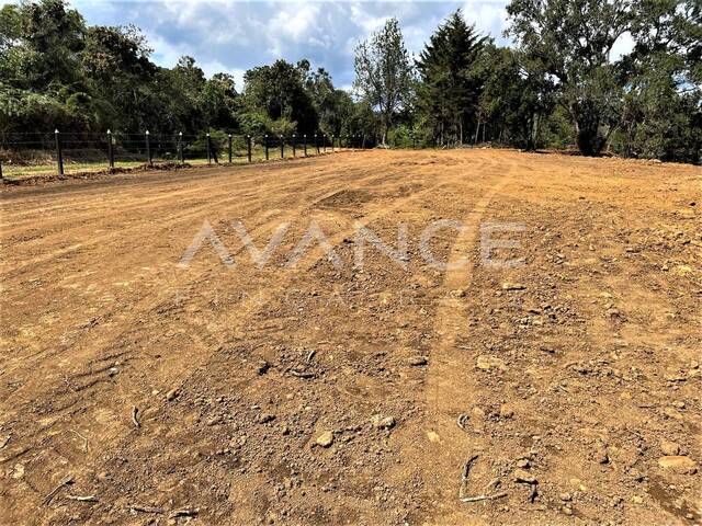 #VLT338 - Lote para Venta en Rionegro - ANT - 3