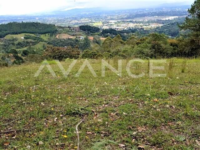 #VLT338 - Lote para Venta en Rionegro - ANT - 2