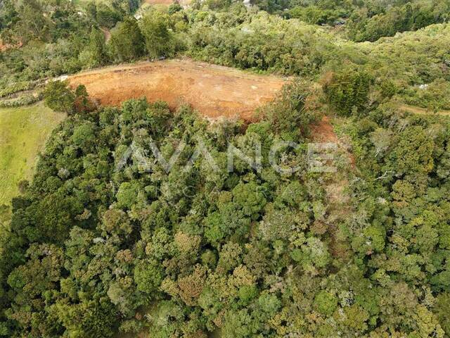 #VLT338 - Lote para Venta en Rionegro - ANT - 3