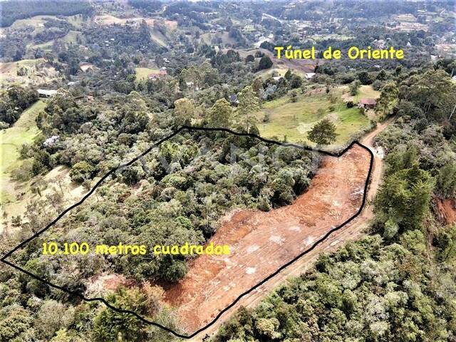 Lote para Venta en Rionegro - 4
