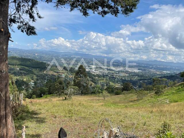 Lote para Venta en Rionegro - 5