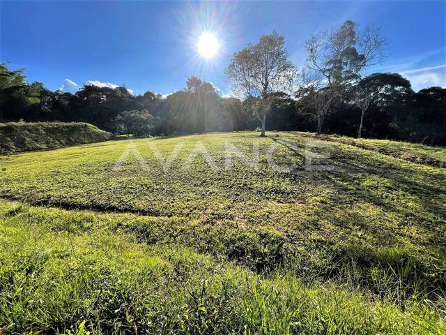 #VPLT400 - Lote para Venta en Carmen de Viboral - ANT - 1