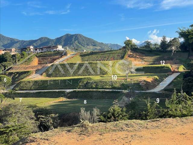 Lote para Venta en Carmen de Viboral - 4