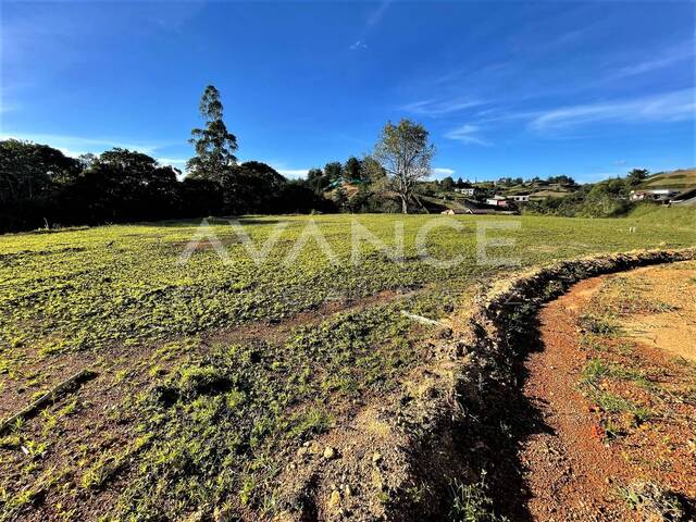 #VPLT400 - Lote para Venta en Carmen de Viboral - ANT