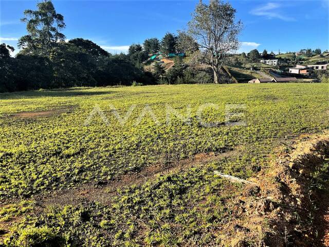 Lote para Venta en Carmen de Viboral - 5