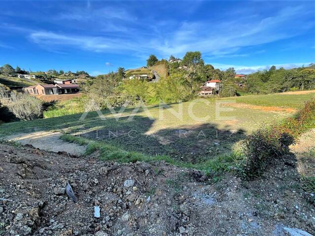#VPLT400 - Lote para Venta en Carmen de Viboral - ANT - 2