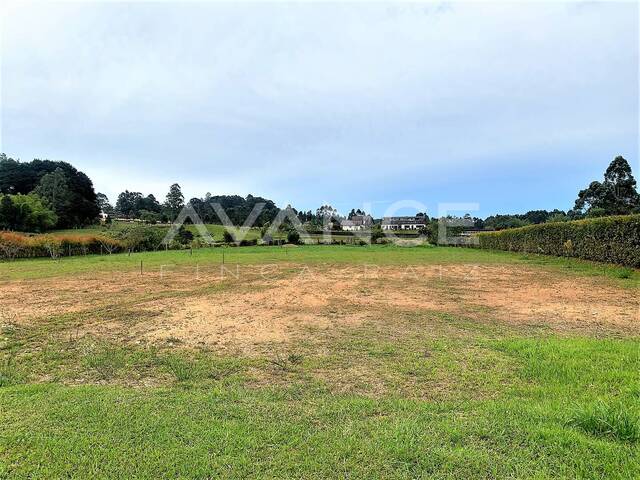 #VLT416 - Lote para Venta en Carmen de Viboral - ANT - 1