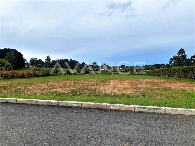 #VLT416 - Lote para Venta en Carmen de Viboral - ANT - 3