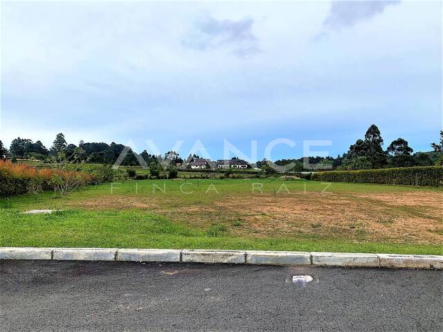 Lote para Venta en Carmen de Viboral - 4