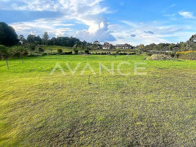 Lote para Venta en Carmen de Viboral - 5
