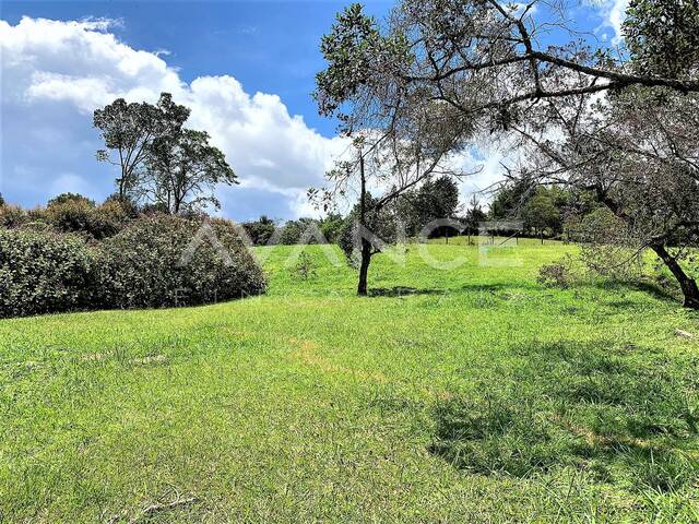 #VLT417 - Lote para Venta en Rionegro - ANT - 1