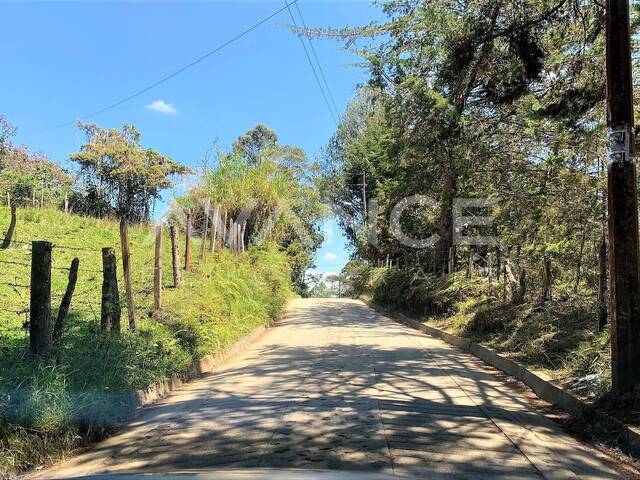 #VLT435 - Lote para Venta en Carmen de Viboral - ANT - 2