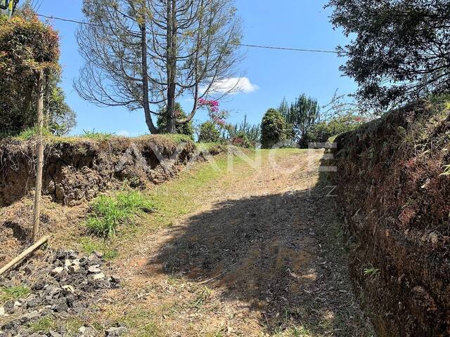 #VLT435 - Lote para Venta en Carmen de Viboral - ANT - 3