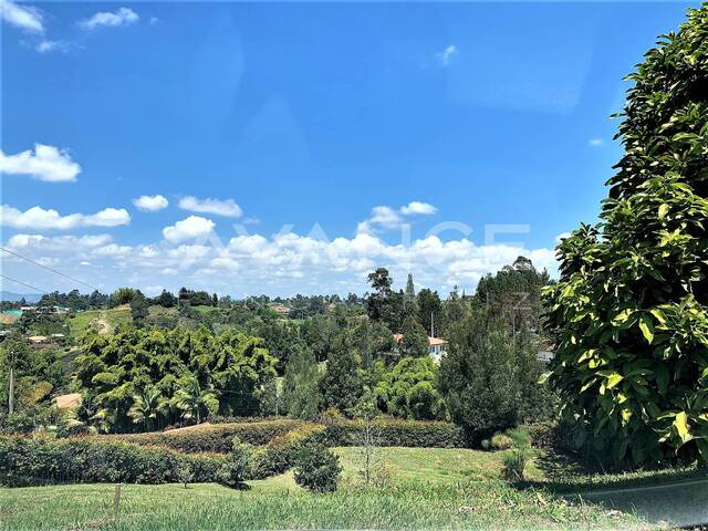 #VLT435 - Lote para Venta en Carmen de Viboral - ANT - 1