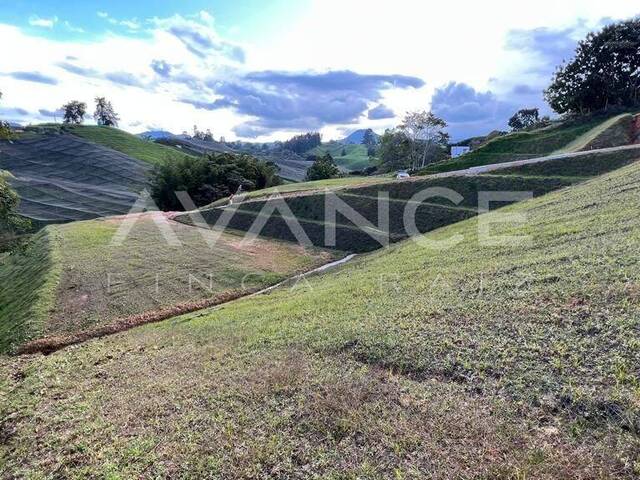 Lote para Venta en Carmen de Viboral - 4