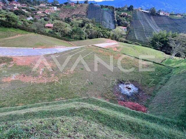Lote para Venta en Carmen de Viboral - 5