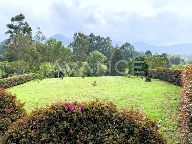 #VLT469 - Lote para Venta en La Ceja - ANT - 1
