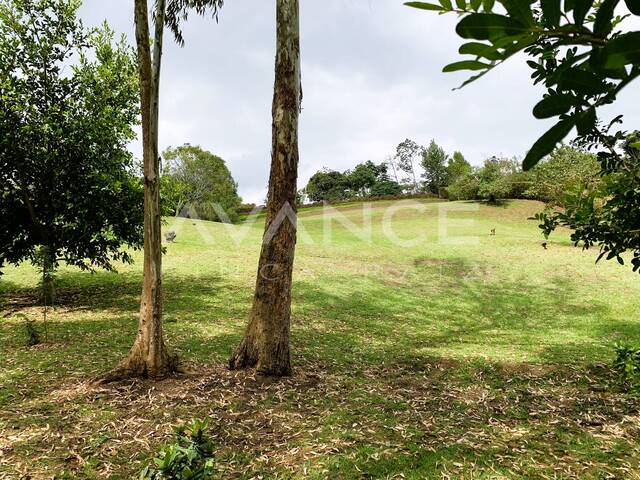 #VLT471 - Lote para Venta en La Ceja - ANT - 1