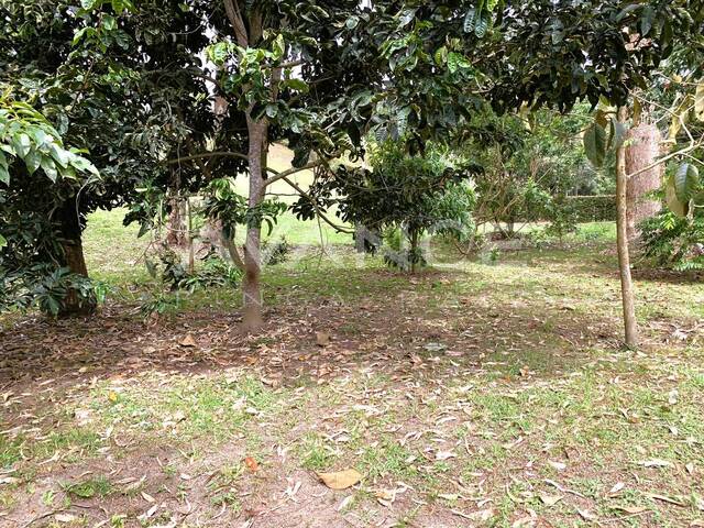 Lote para Venta en La Ceja - 4