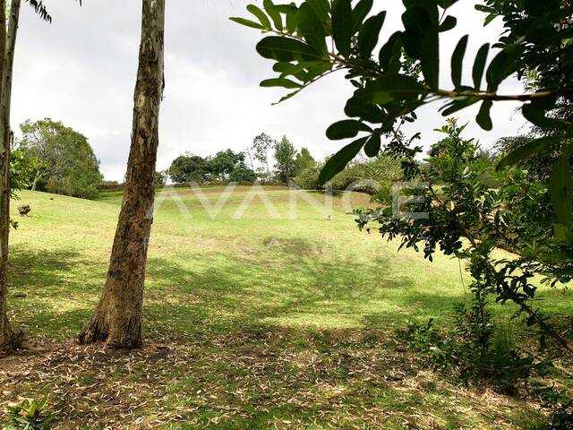 Lote para Venta en La Ceja - 5